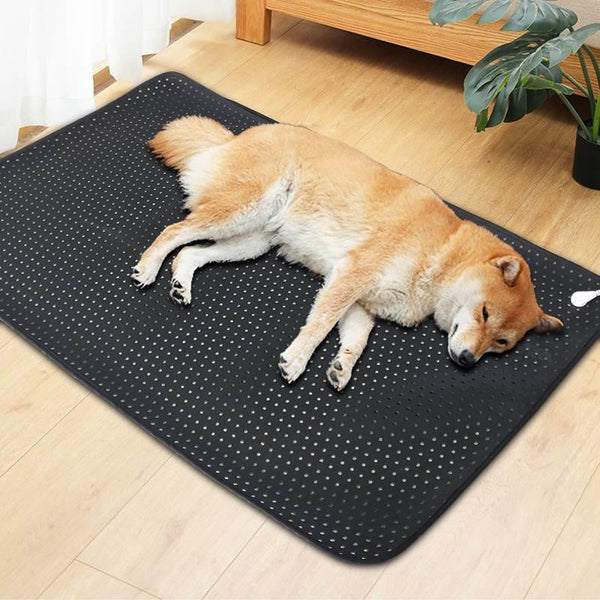 https://bambuground.com/cdn/shop/products/pets-earthing-mat-cats-and-dogs-grooni-earthing-4_grande.jpg?v=1691340719